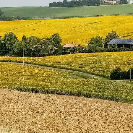 D'hôtes D' En Jouti Alojamento de Acomodação e Pequeno-almoço Avignonet-de-Lauragais