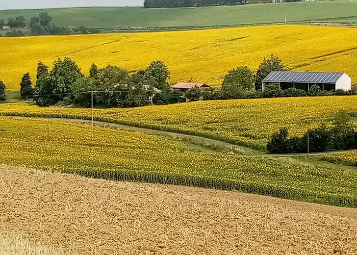 D'hotes D' En Jouti 住宿加早餐酒店 Avignonet-de-Lauragais